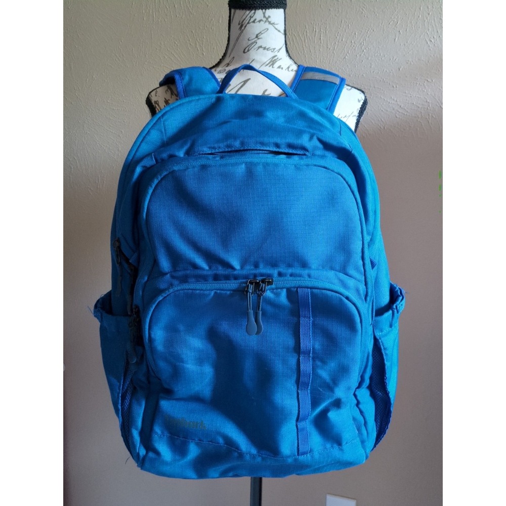 Embark Blue Backpack